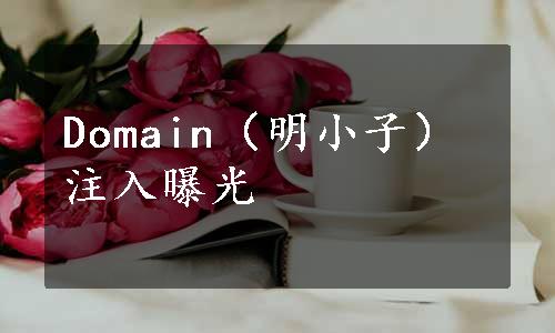 Domain（明小子）注入曝光