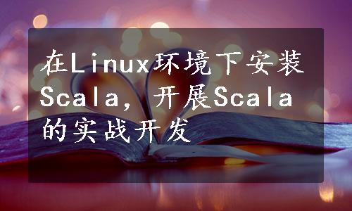 在Linux环境下安装Scala，开展Scala的实战开发