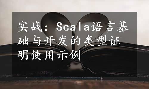 实战：Scala语言基础与开发的类型证明使用示例