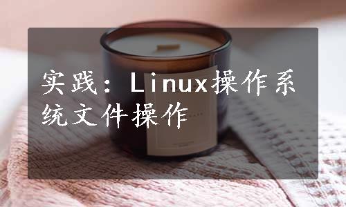 实践：Linux操作系统文件操作