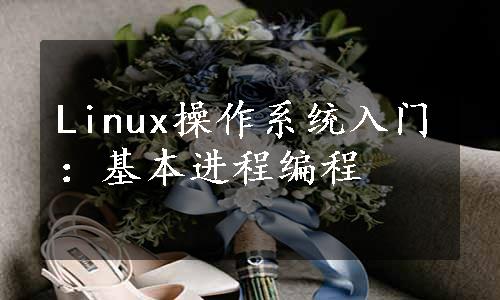 Linux操作系统入门：基本进程编程