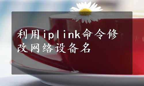 利用iplink命令修改网络设备名