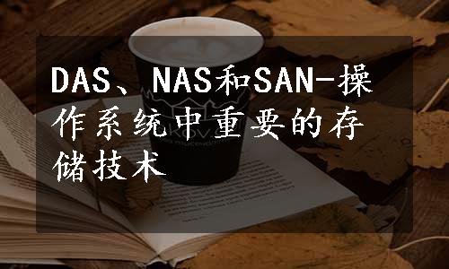 DAS、NAS和SAN-操作系统中重要的存储技术