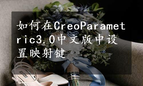 如何在CreoParametric3.0中文版中设置映射键