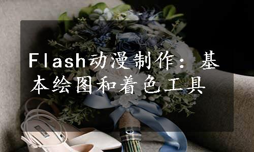 Flash动漫制作：基本绘图和着色工具