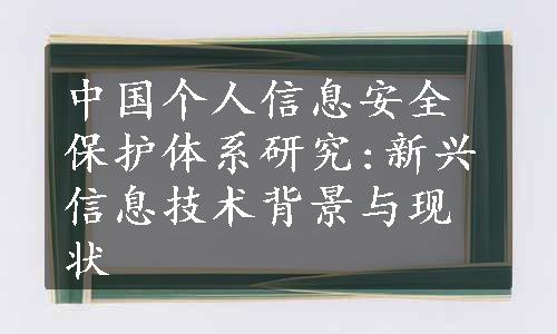 中国个人信息安全保护体系研究:新兴信息技术背景与现状