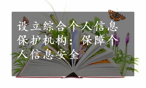 设立综合个人信息保护机构：保障个人信息安全