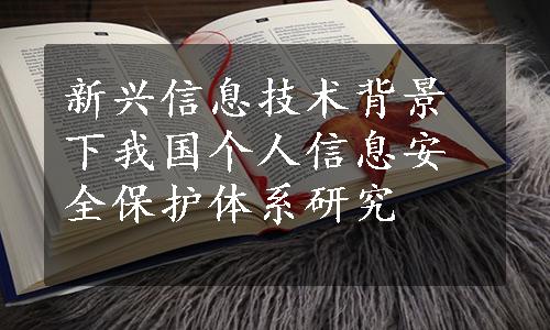 新兴信息技术背景下我国个人信息安全保护体系研究