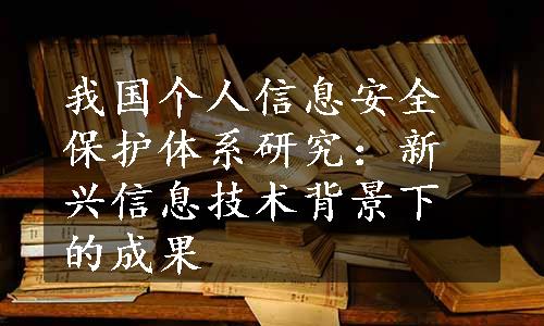 我国个人信息安全保护体系研究：新兴信息技术背景下的成果