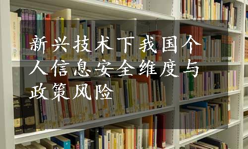 新兴技术下我国个人信息安全维度与政策风险