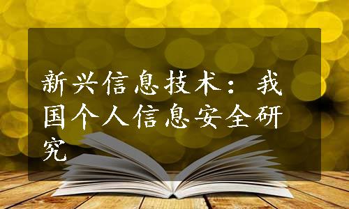 新兴信息技术：我国个人信息安全研究