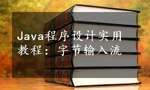 Java程序设计实用教程：字节输入流