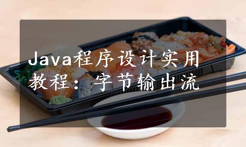 Java程序设计实用教程：字节输出流