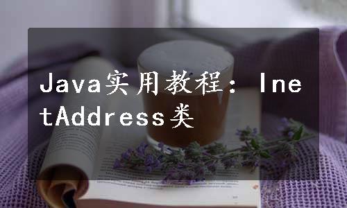 Java实用教程：InetAddress类