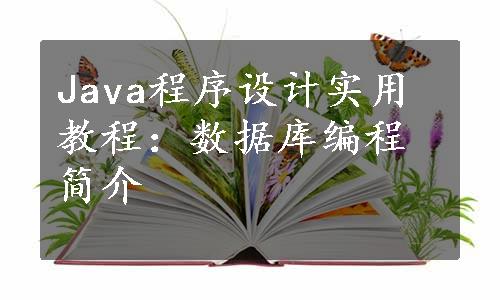 Java程序设计实用教程：数据库编程简介