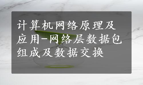 计算机网络原理及应用-网络层数据包组成及数据交换