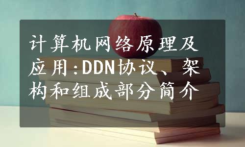 计算机网络原理及应用:DDN协议、架构和组成部分简介