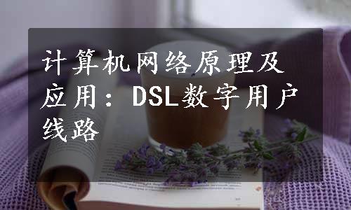 计算机网络原理及应用：DSL数字用户线路