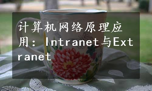 计算机网络原理应用：Intranet与Extranet