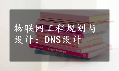 物联网工程规划与设计：DNS设计