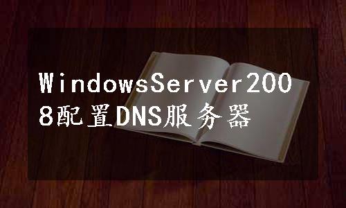 WindowsServer2008配置DNS服务器