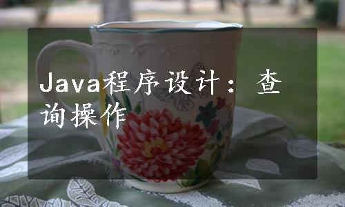 Java程序设计：查询操作