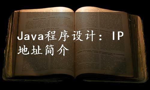 Java程序设计：IP地址简介