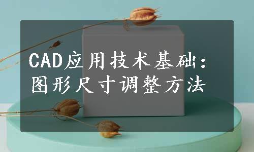 CAD应用技术基础：图形尺寸调整方法