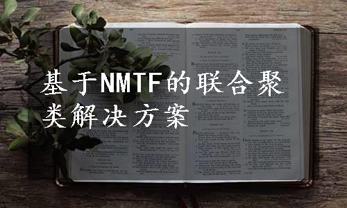 基于NMTF的联合聚类解决方案