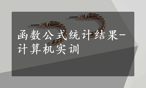 函数公式统计结果-计算机实训