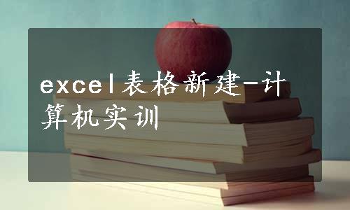 excel表格新建-计算机实训