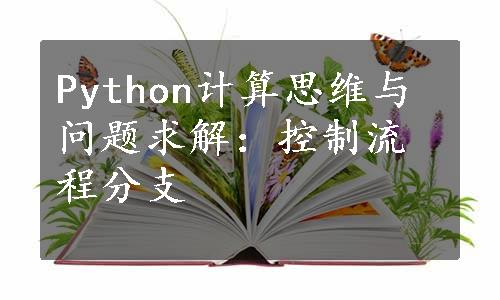 Python计算思维与问题求解：控制流程分支