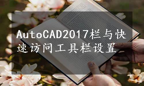 AutoCAD2017栏与快速访问工具栏设置