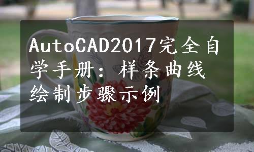 AutoCAD2017完全自学手册：样条曲线绘制步骤示例