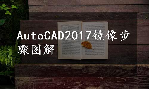 AutoCAD2017镜像步骤图解