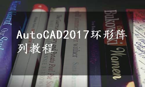 AutoCAD2017环形阵列教程