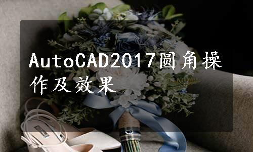 AutoCAD2017圆角操作及效果