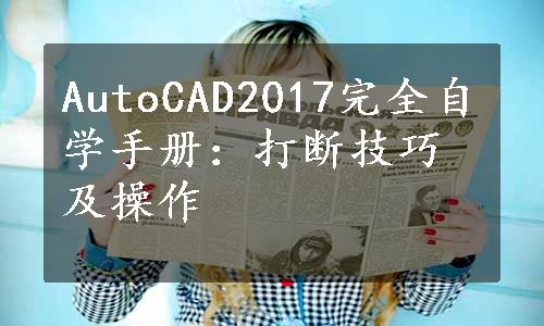 AutoCAD2017完全自学手册：打断技巧及操作