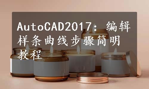 AutoCAD2017：编辑样条曲线步骤简明教程