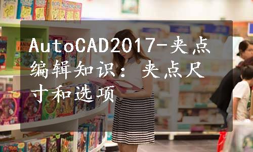 AutoCAD2017-夹点编辑知识：夹点尺寸和选项