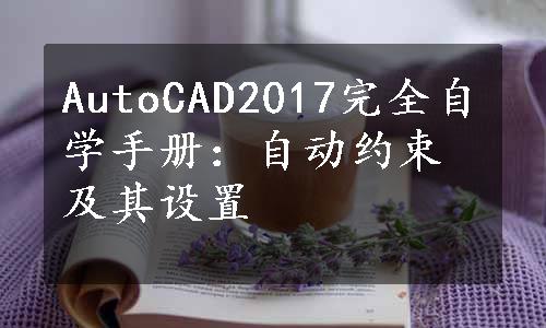 AutoCAD2017完全自学手册：自动约束及其设置