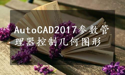 AutoCAD2017参数管理器控制几何图形