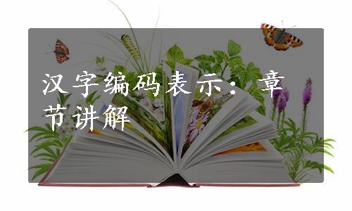 汉字编码表示：章节讲解