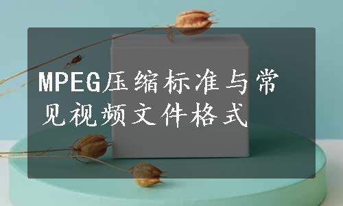 MPEG压缩标准与常见视频文件格式