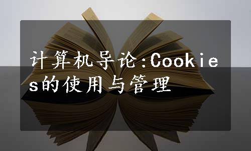 计算机导论:Cookies的使用与管理