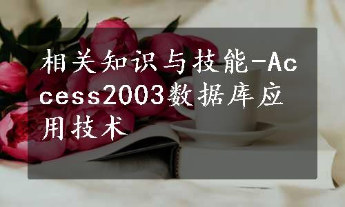 相关知识与技能-Access2003数据库应用技术