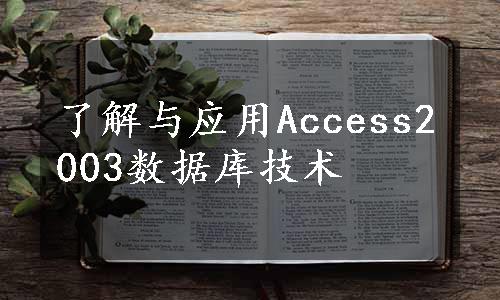 了解与应用Access2003数据库技术