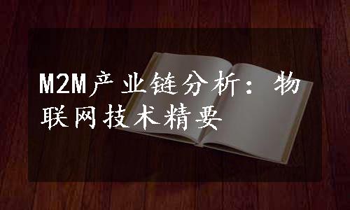 M2M产业链分析：物联网技术精要