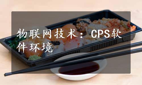 物联网技术：CPS软件环境