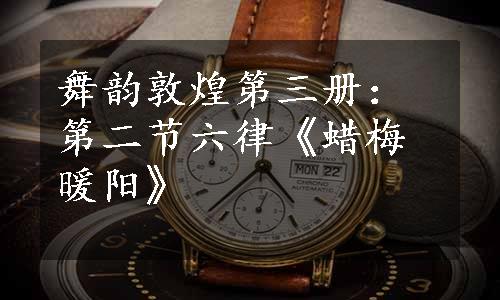 舞韵敦煌第三册：第二节六律《蜡梅暖阳》